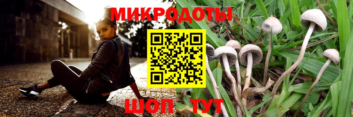 Псилоцибиновые грибы Psilocybe  Вход с VPN  Галлюциногенные грибы прущие грибы  Сердобск 